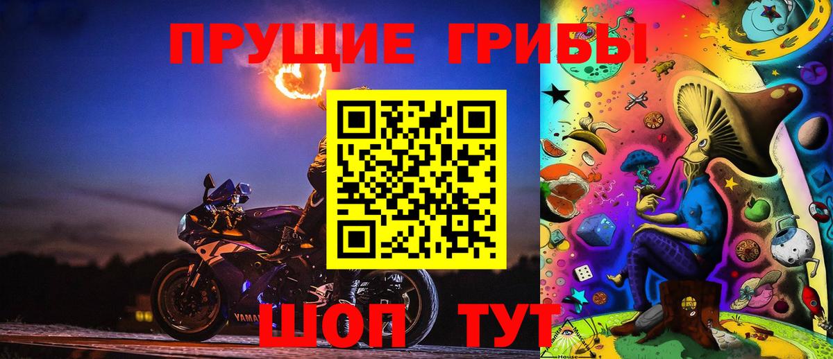 Галлюциногенные грибы Psilocybe Кизилюрт