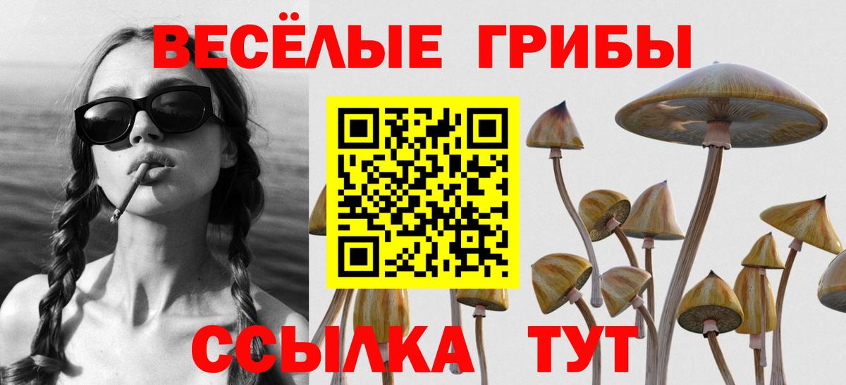 Галлюциногенные грибы MAGIC MUSHROOMS  Галлюциногенные грибы Psilocybine cubensis  Кизилюрт  Вход с VPN 